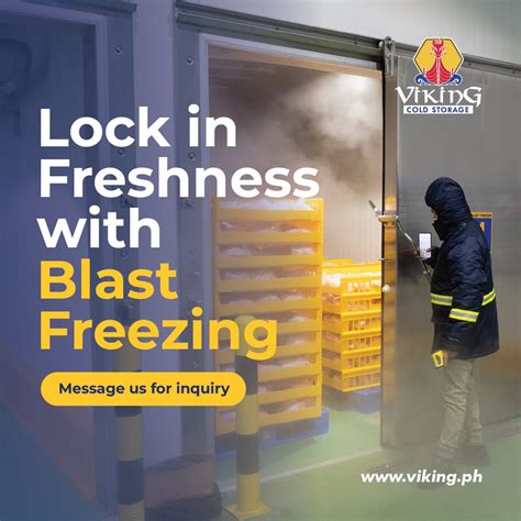 viking cold storage davao|VIKING COLD STORAGE (DAVAO), INC. .